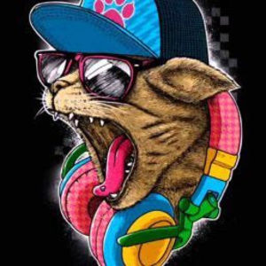 Meet your Posher, Humma